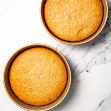 Two vanilla cakes in round pans.