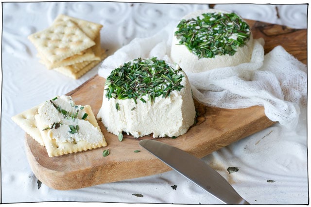 16 Life Changing Vegan Cheese Recipes! Want to go vegan but love cheese? No problem! These dairy free cheese recipes will satisfy all your cheesy needs. #itdoesnttastelikechicken
