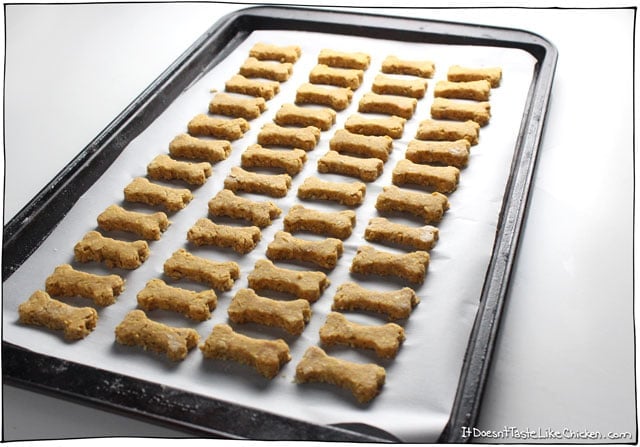 Pumpkin & Peanut Butter Dog Treats are so easy to make and so much cheaper than store-bought. Just 3 ingredients! #itdoesnttastelikechicken #dogtreats #dogtreatsrecipe