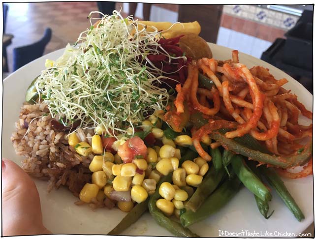 How to Eat Vegan in Montego Bay, Jamaica. My travel guide of what it's like to travel as a vegan. Tips on what to say, what to eat, and different fruits and veggies to try! #itdoesnttastelikechicken