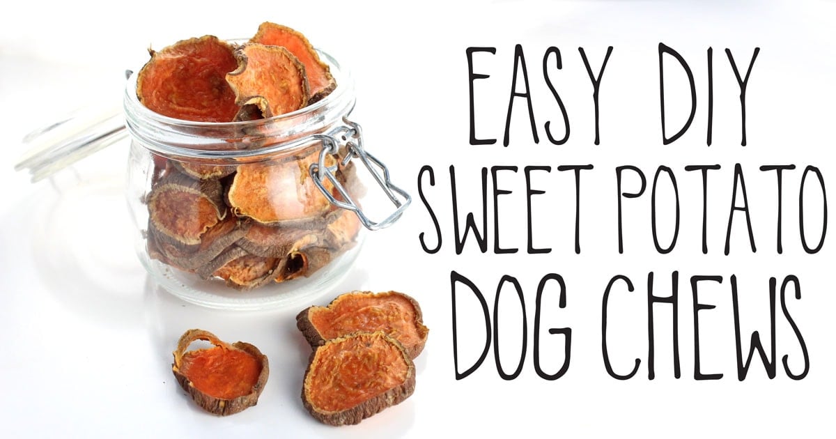 Easy DIY Sweet Potato Dog Chews