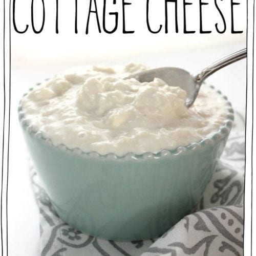 Quick Easy Vegan Cottage Cheese It Doesn T Taste Like Chicken