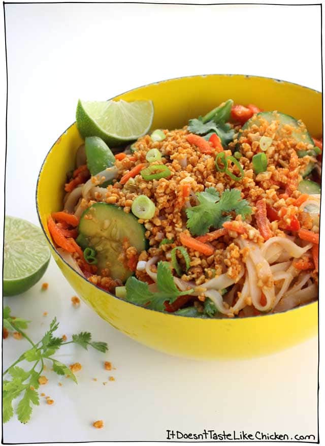 Cold Noodle Bowl with Sriracha Peanut Crumble! The perfect easy, summer dinner. Hoisin and lime dressed rice noodles, fresh, raw, crunchy veggies, all topped with a flavour-packed, roasted peanut crumble with hints of Sriracha spice. Vegan, vegetarian, dairy free. #itdoesnttastelikechicken