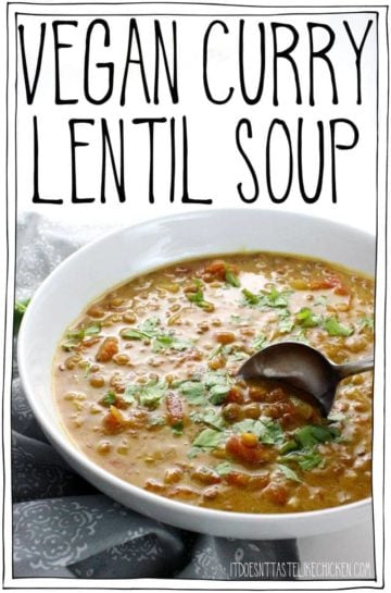 Vegan Curry Lentil Soup • It Doesn't Taste Like Chicken