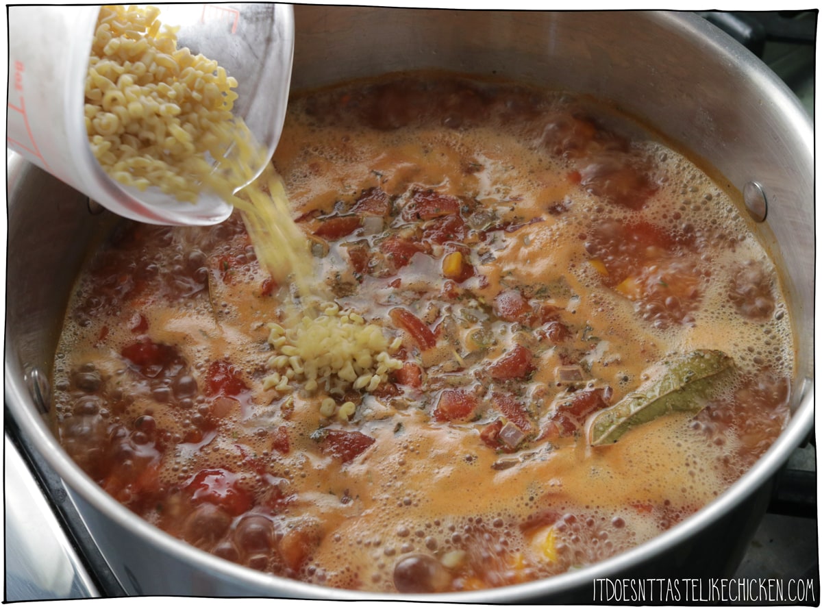 Add the broth, tomatoes, and spices and bring to a boil. Add pasta and simmer for 20 minutes.