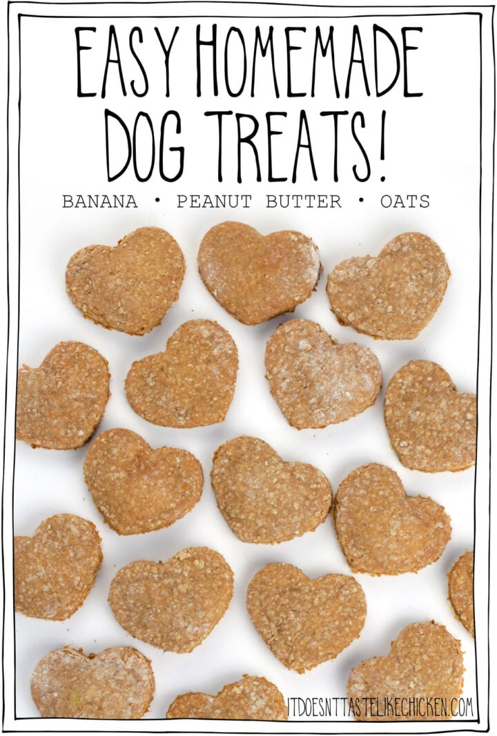 Easy Homemade Dog Treats are made with just 3 ingredients! All it takes is banana, peanut butter, and oats and you can make these cute cookies for your pup, or for a doggy friend of yours. Not only are these easy to make, but they are so much more affordable than store-bought treats and dogs LOVE them! #itdoesnttastelikechicken #dogrecipes