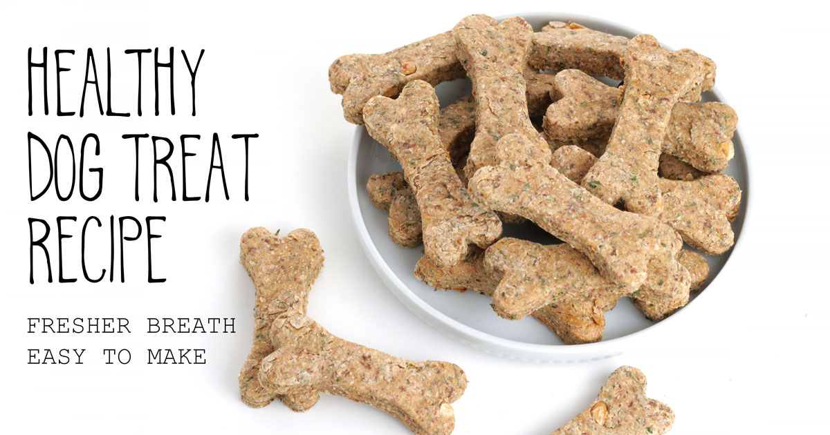 Healthy Dog Treats Recipe!