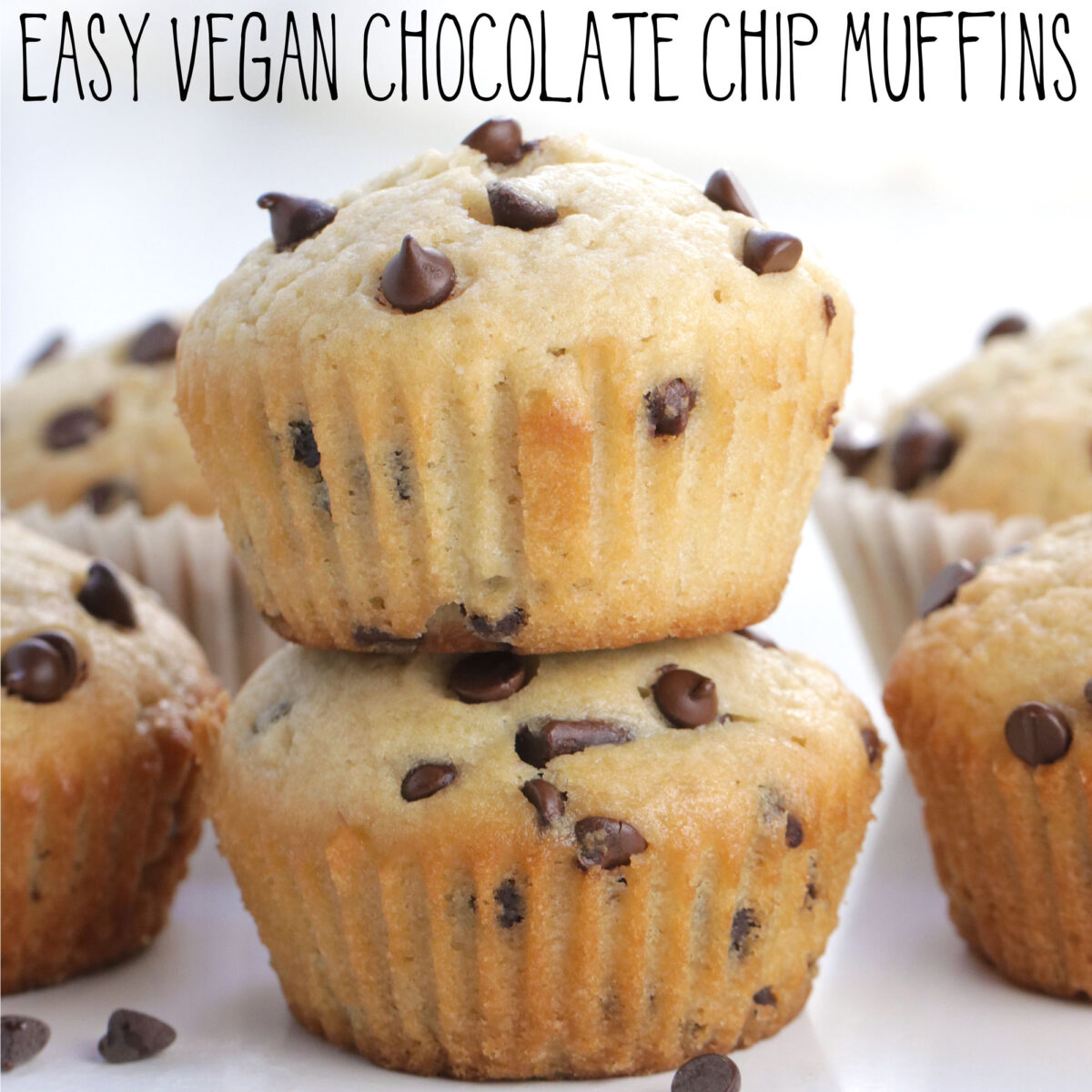 vegan chocolate chip muffins recipe