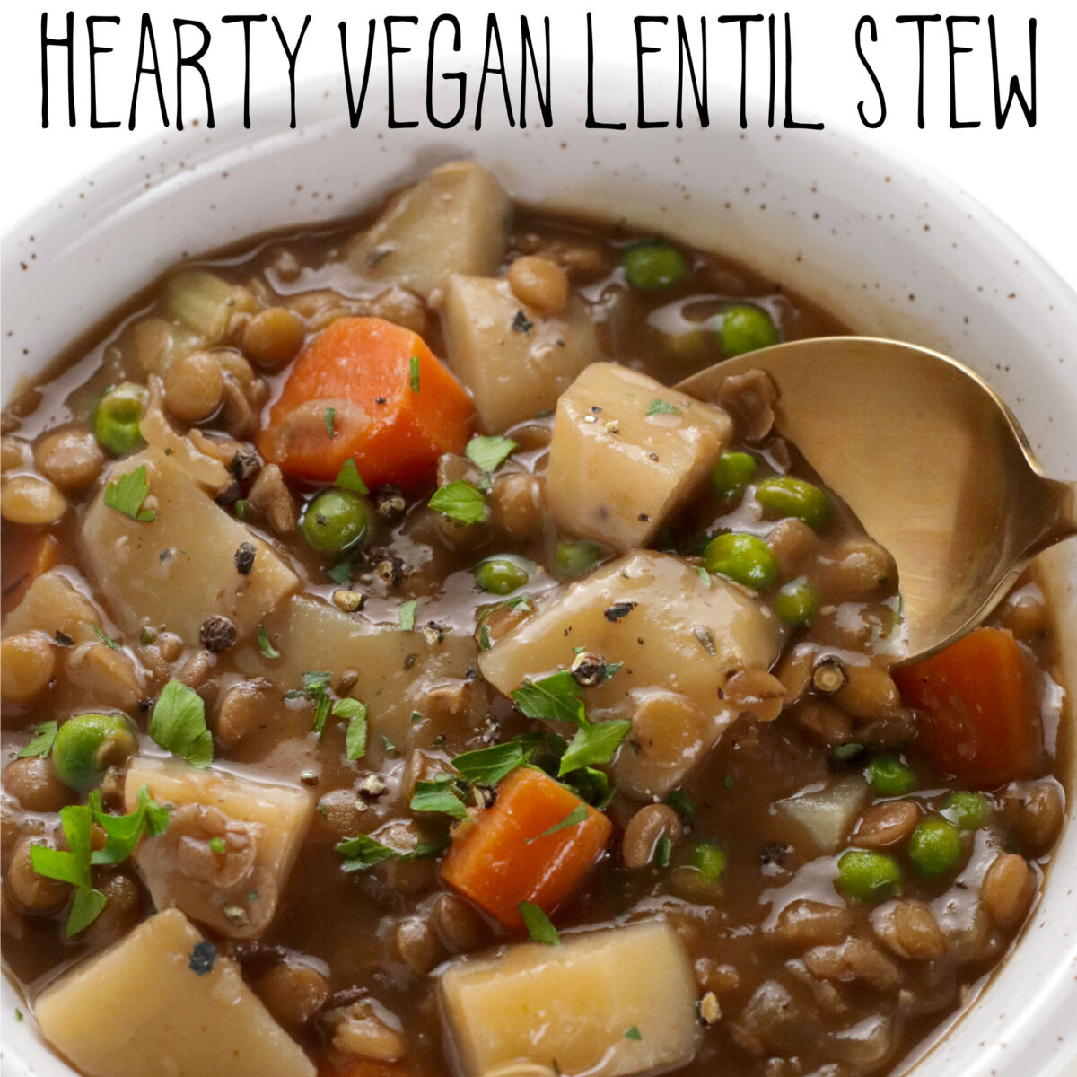 Hearty Vegan Lentil Stew