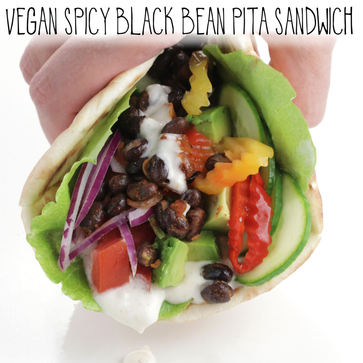 Vegan Spicy Black Bean Pita Sandwich