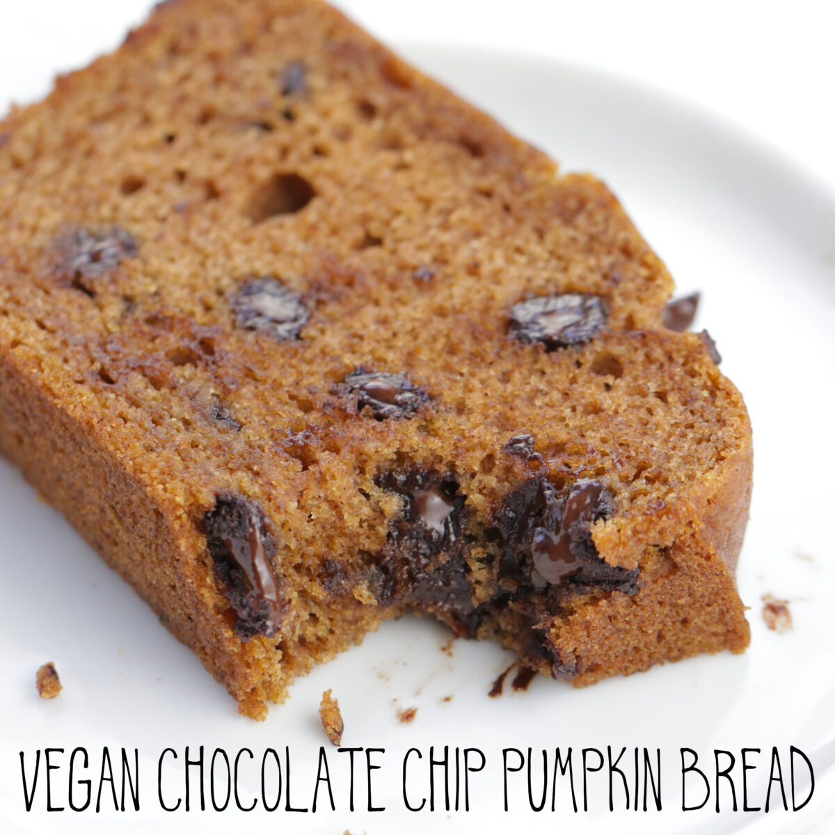 vegan chocolate chip pumpkin bread