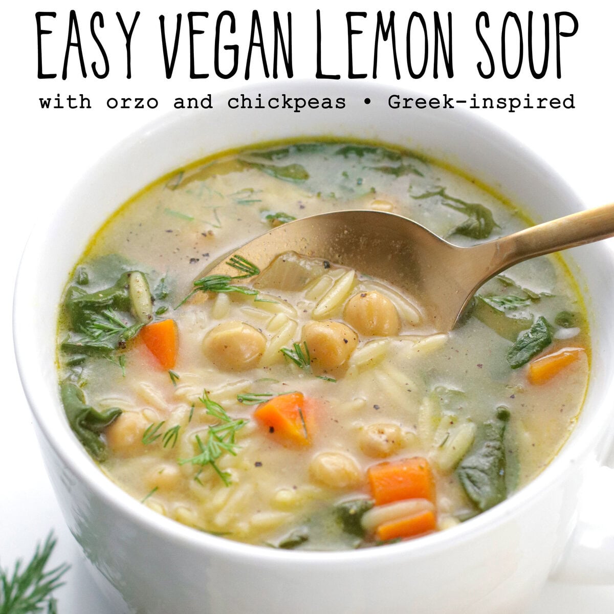 50+ Easy Bean Recipes!