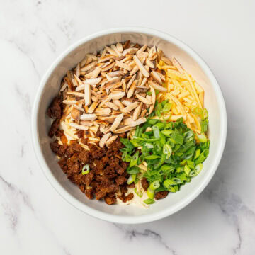 Vegan bacon, cheese, green onions, and almonds added to bowl of dip.