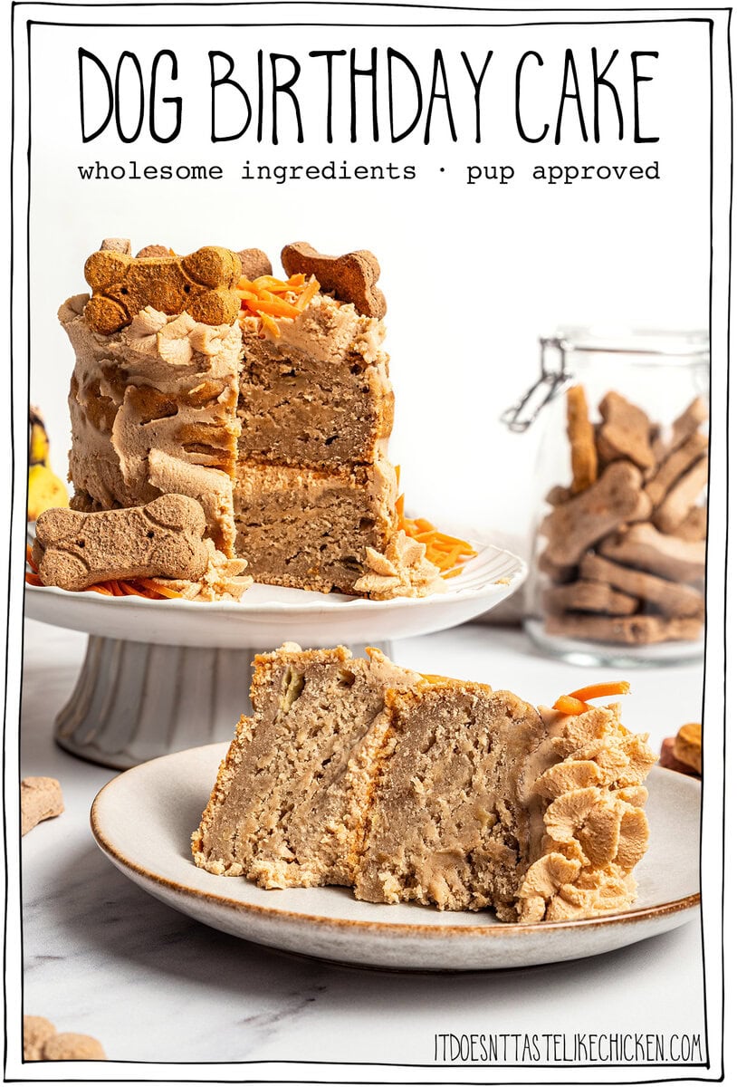 Dog Birthday Cake Recipe (Easy, Vegan & Dog-Friendly!)
