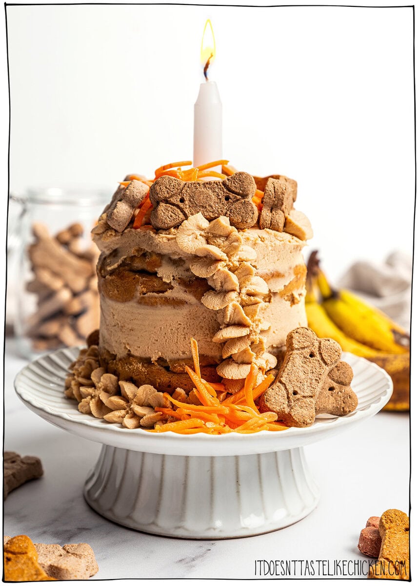 Dog Birthday Cake Recipe (Easy, Vegan & Dog-Friendly!)
