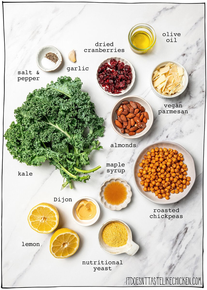 With shredded kale, zippy lemon dressing, dried cranberries, almonds and crispy chickpeas, this easy kale salad recipe is the best ever! Ingredients for kale salad recipe.