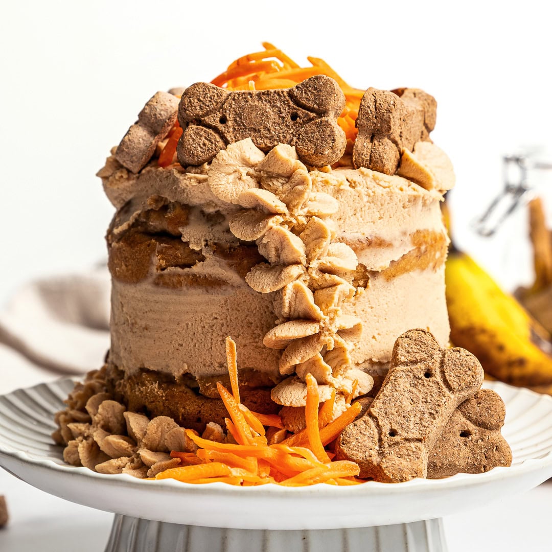 This easy dog birthday cake recipe is soft, simple and made with wholesome, dog-friendly ingredients like banana, oats and peanut butter! Decorated dog birthday cake on cake stand.